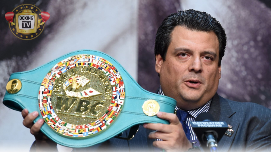WBC uspostavili novu težinsku kategoriju "Bridger"
